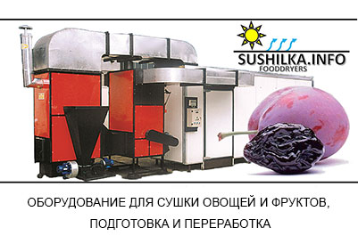 Оборудование для сушки фруктов, ягод, овощей